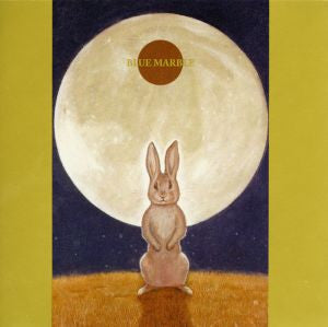 Aiko Shimada - Blue Marble [CD]