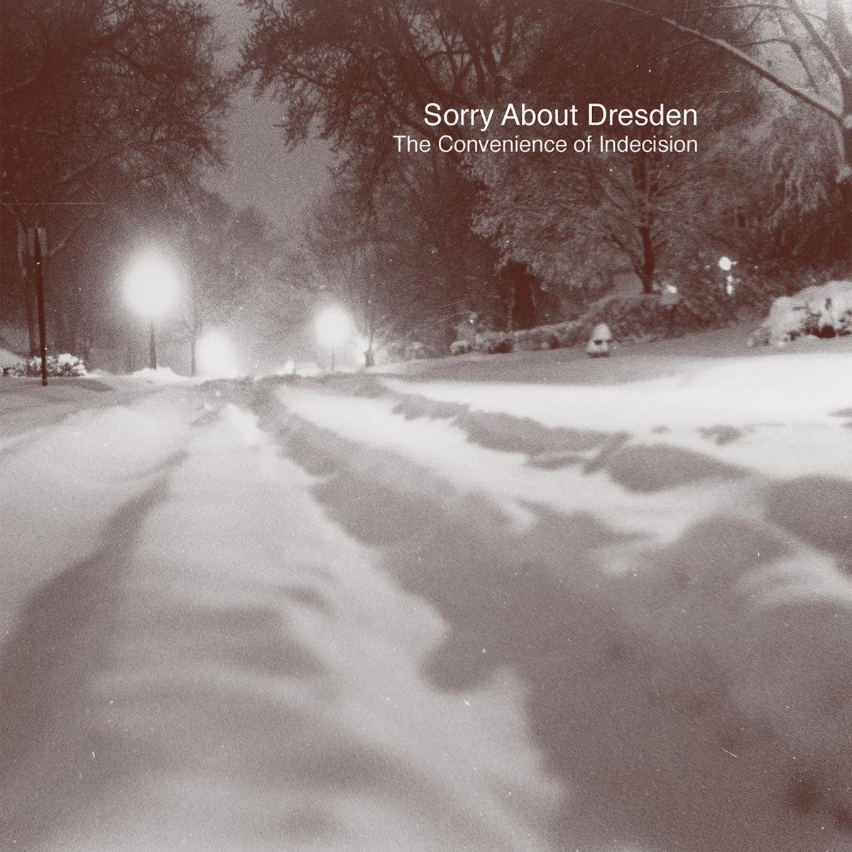 Convenience Of Indecision, The [CD]