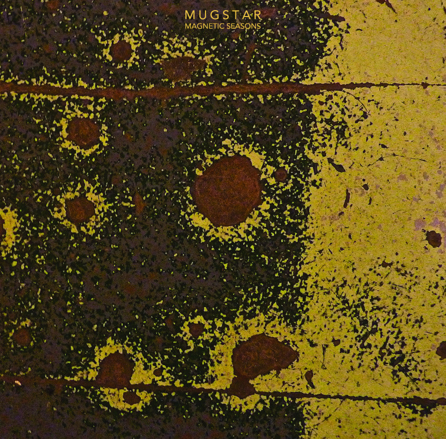 Magnetic Seasons [Vinyl]