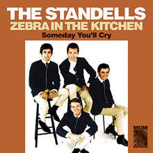 The Standells - Zebra in the Kitchen / Someday You'll Cry [Vinyl]
