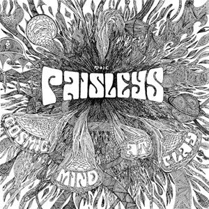 The Paisleys - Cosmic Mind At Play [Vinyl]