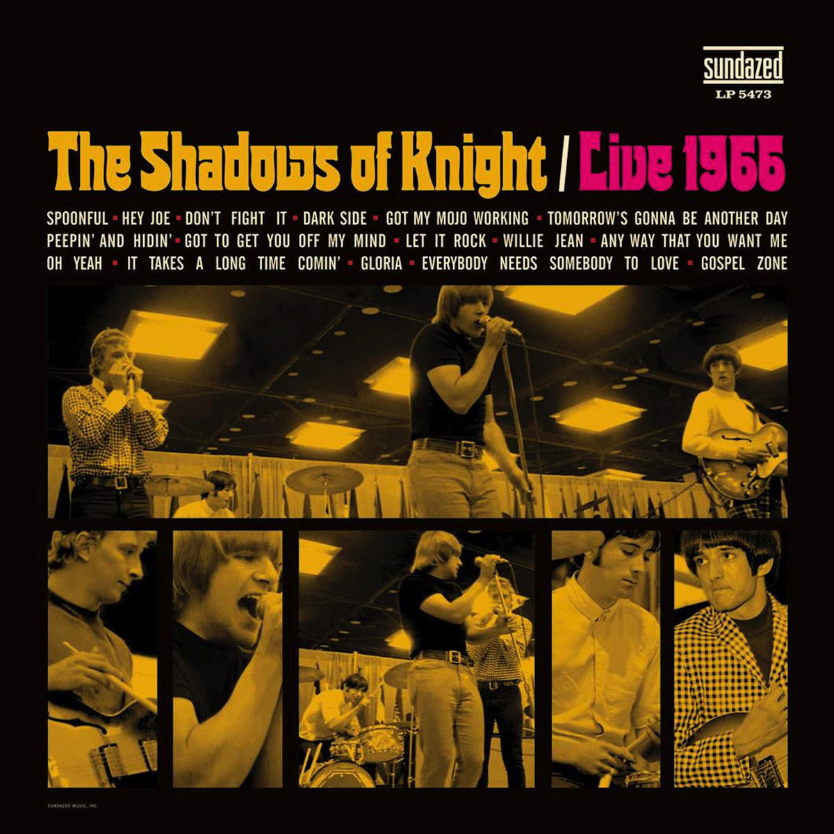 Shadows of Knight, The - Live 1966 [Vinyl]