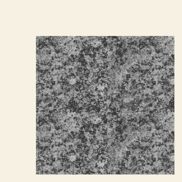 The New Life - 12" [Vinyl]