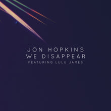 We Disappear [Vinyl]