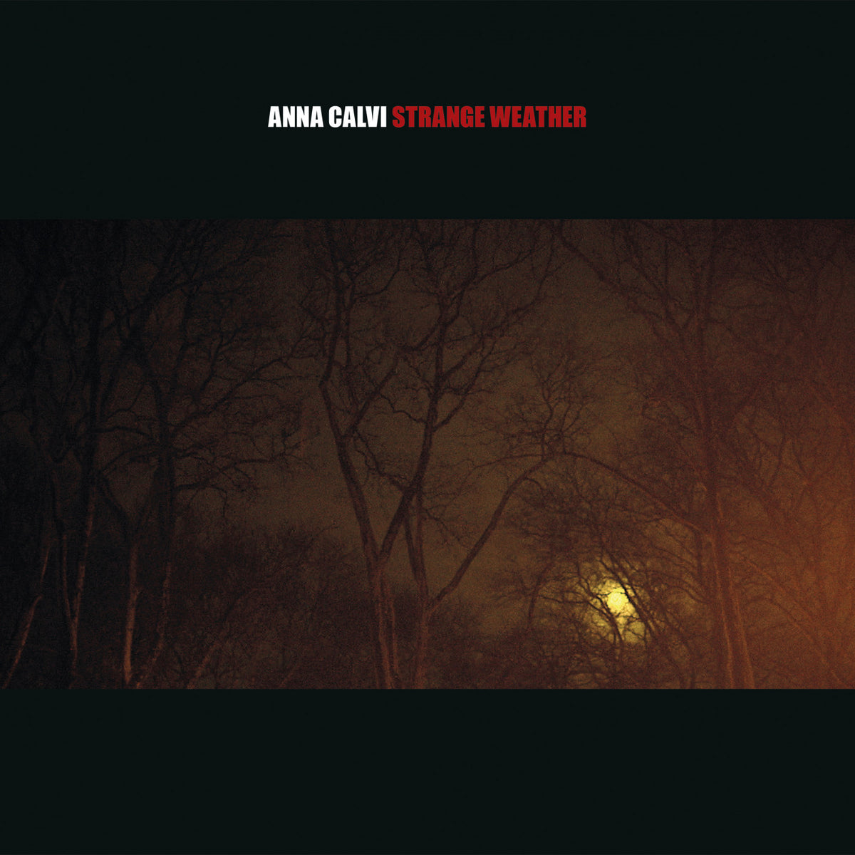 Strange Weather [CD]