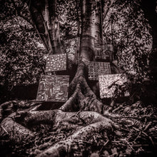 Kamasi Washington - Harmony of Difference [CD]