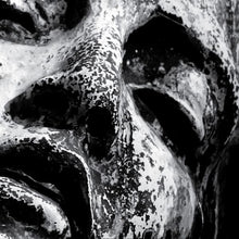 Misanthrope(s) [CD]