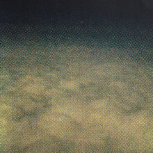 Relationships Between Inner & Outer Space [CD]