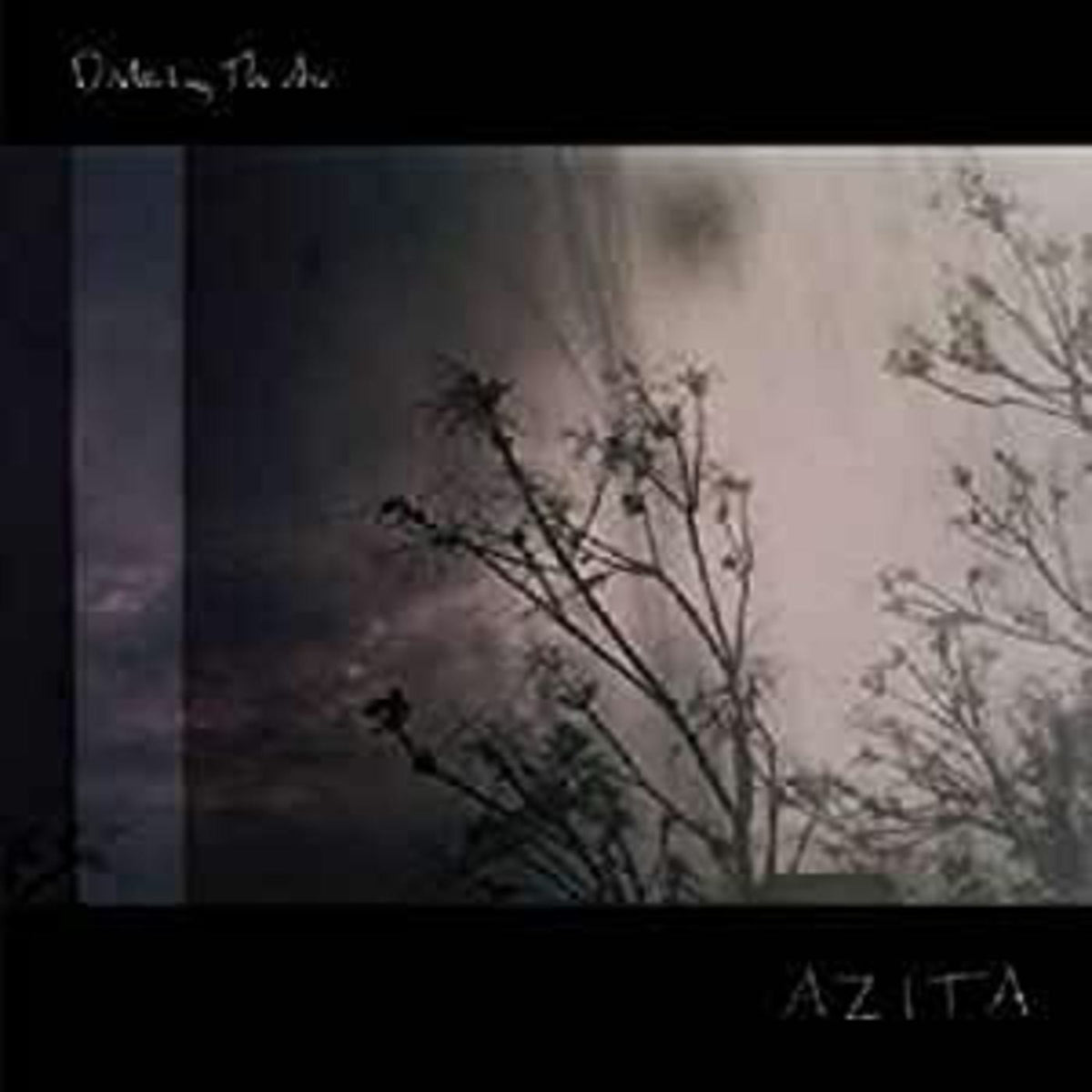 Disturbing the Air [Vinyl]