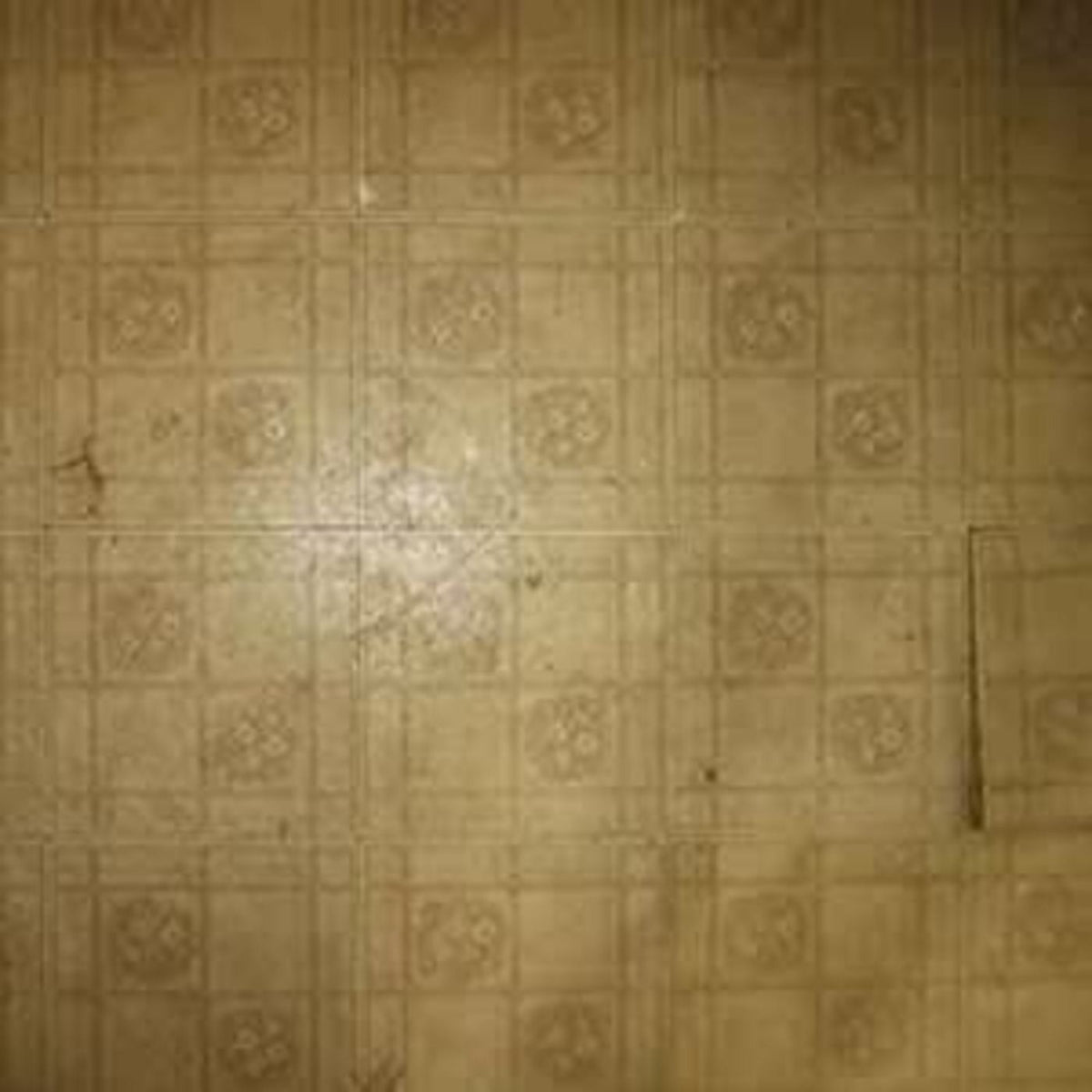 Unhistories [Vinyl]