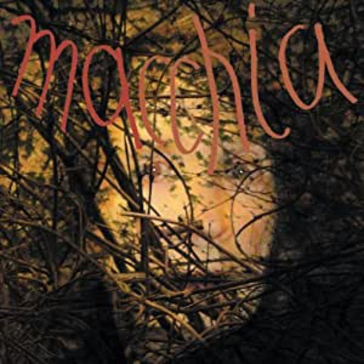 Macchia Forest [Vinyl]