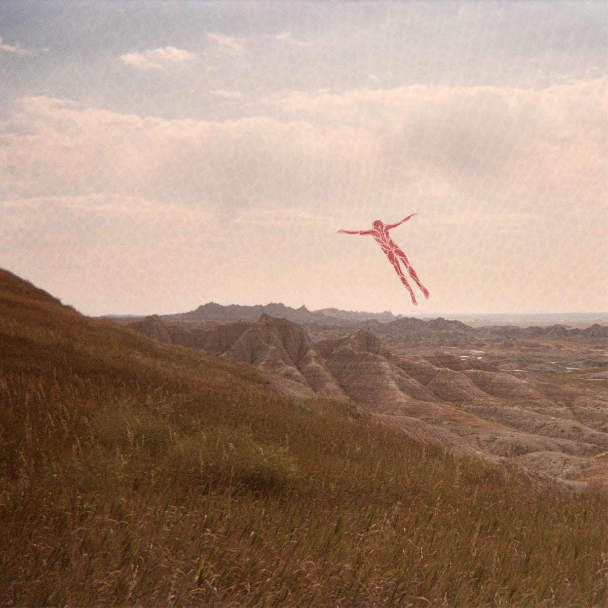 supernowhere - Skinless Takes a Flight [Cassette]