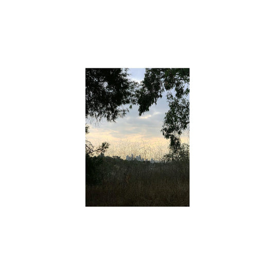 Arroyo (INDIE EXCLUSIVE, CRYSTAL CLEAR VINYL) [Vinyl]