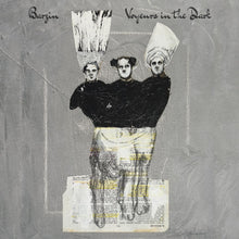 Barzin - Voyeurs in the Dark [Vinyl]