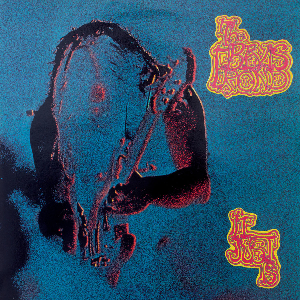 Bevis Frond, The - It Just Is [Vinyl]