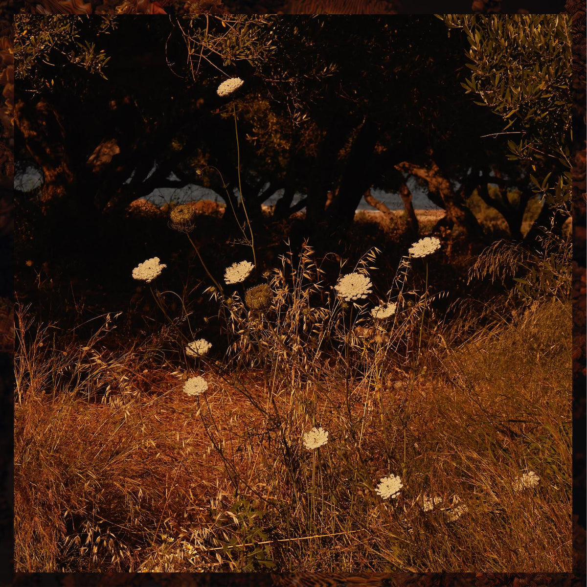 Szun Waves - Earth Patterns (INDIE EXCLUSIVE, "BROWN SMOKE" VINYL) [Vinyl]