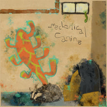Mechanical Canine - Walls Covered in Mildew (INDIE EXCLUSIVE, COKE BOTTLE CLEAR VINYL) [Vinyl]