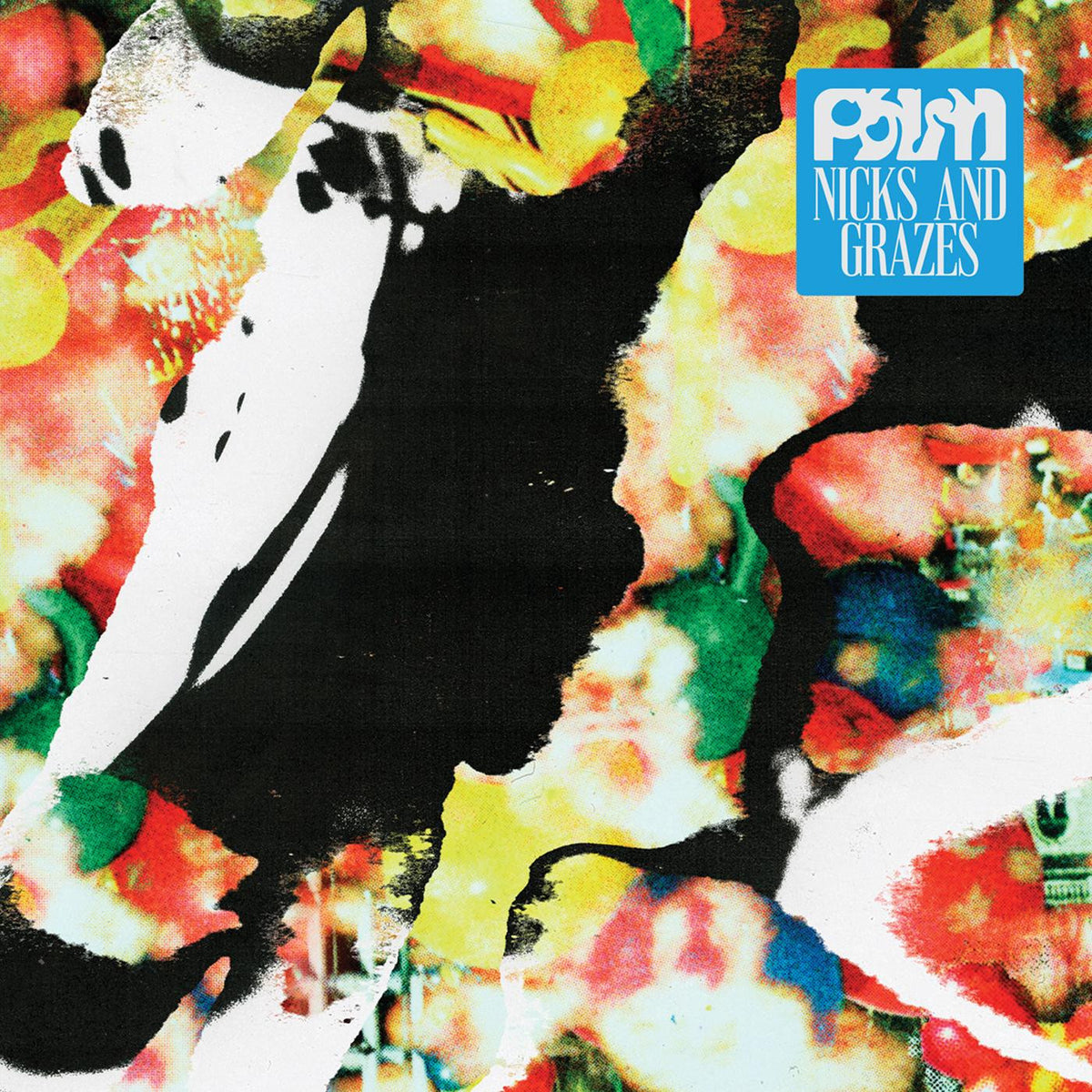 Palm - Nicks and Grazes (INDIE EXCLUSIVE, "DUTCH ORANGE" VINYL) [Vinyl]
