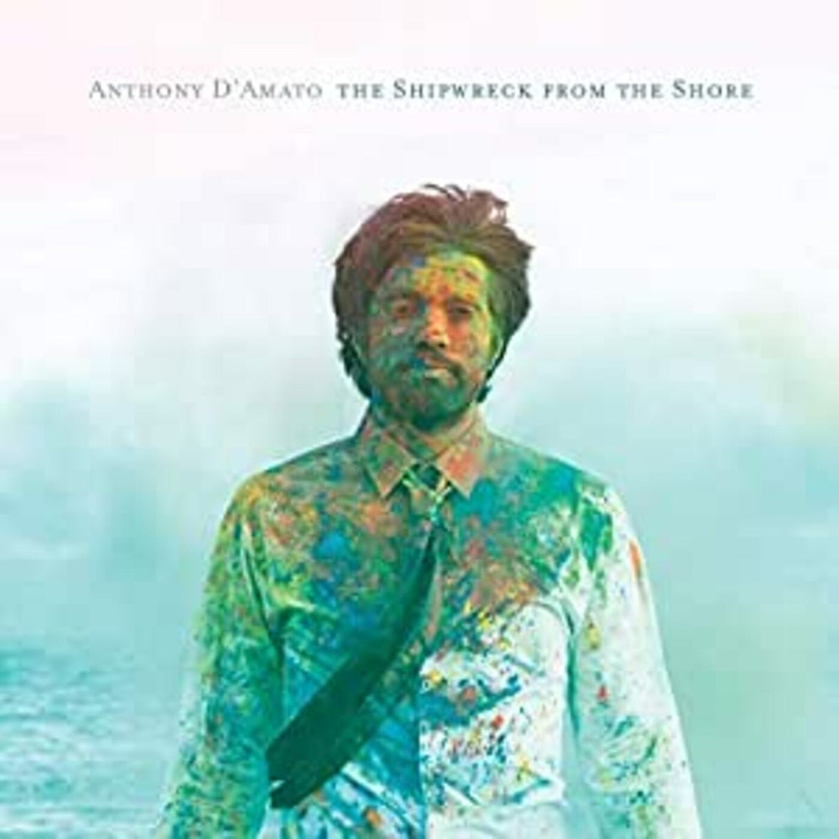 The Shipwreck From The Shore [CD]