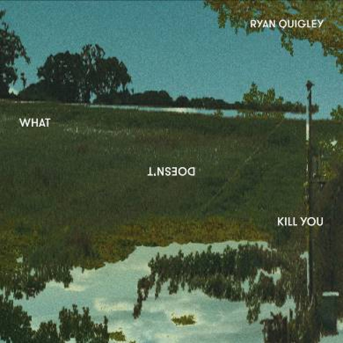 What Doesn't Kill You [CD]