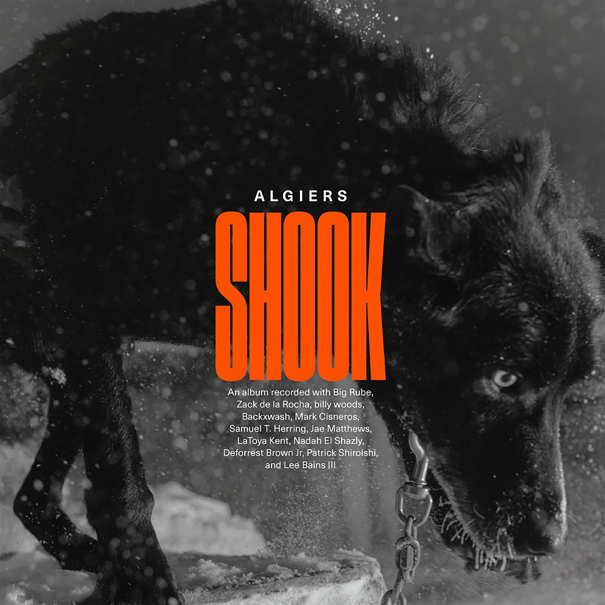 Shook [CD]