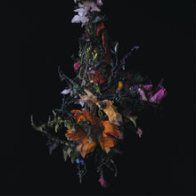 nature morte [Vinyl]