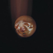 poolblood - mole [CD]