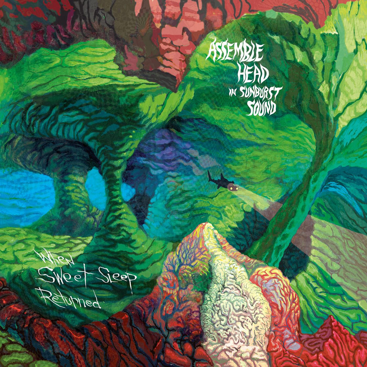 When Sweet Sleep Returned [CD]
