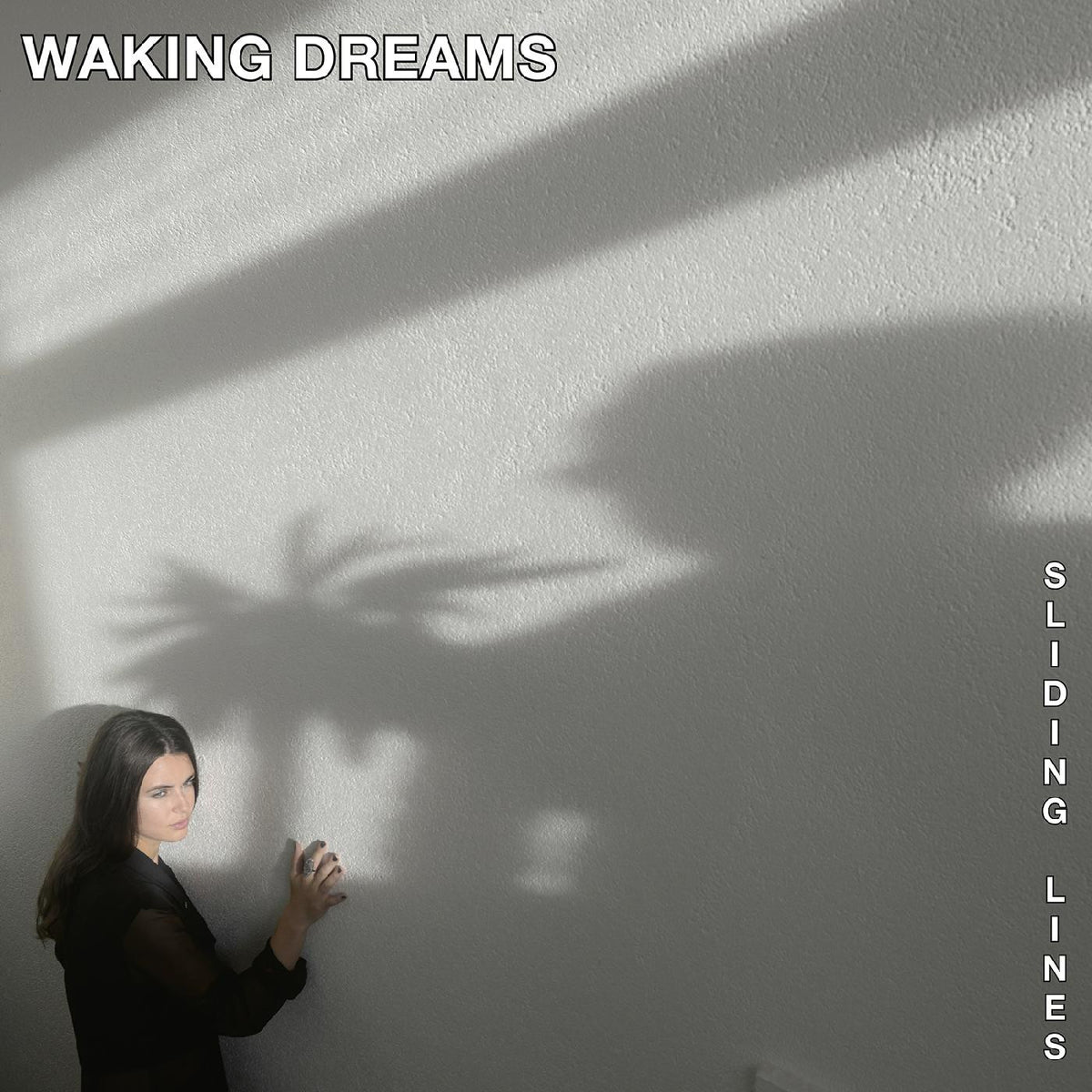 Waking Dreams - Sliding Lines [Vinyl]