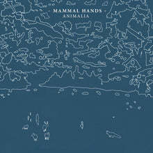 Animalia [Vinyl]
