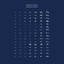 Captured Spirits [Vinyl]