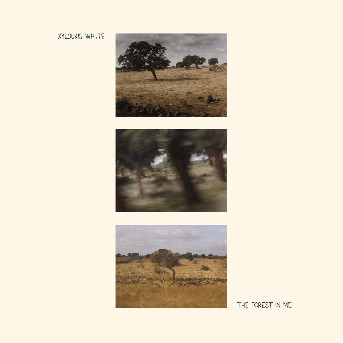 Xylouris White - The Forest In Me [CD]