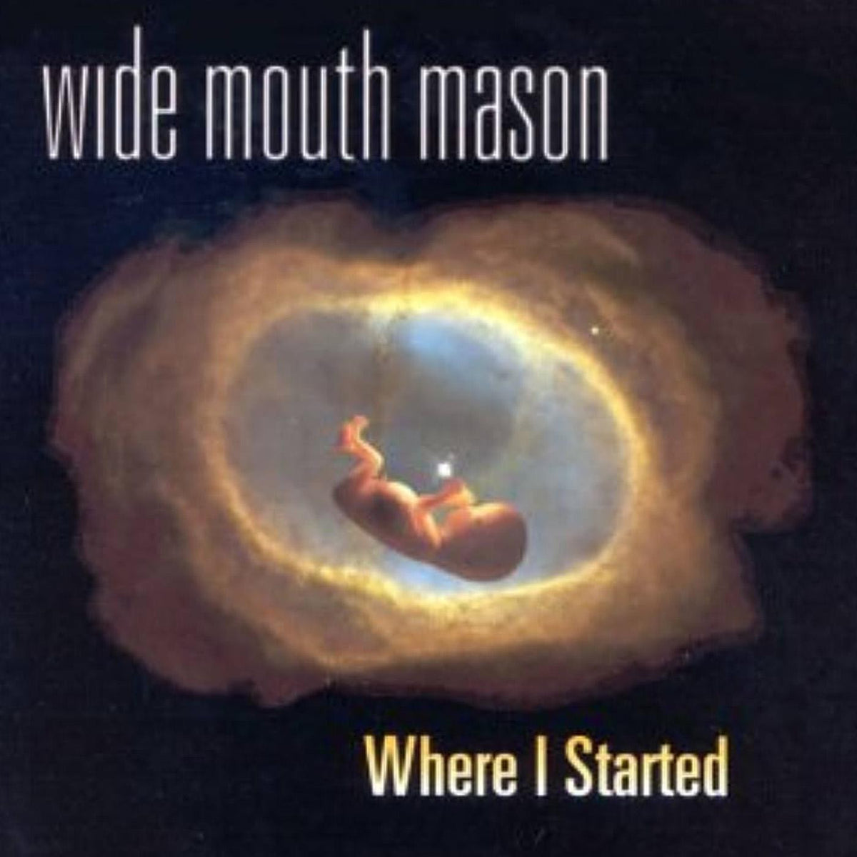 Wide Mouth Mason - Where I Started [Vinyl]