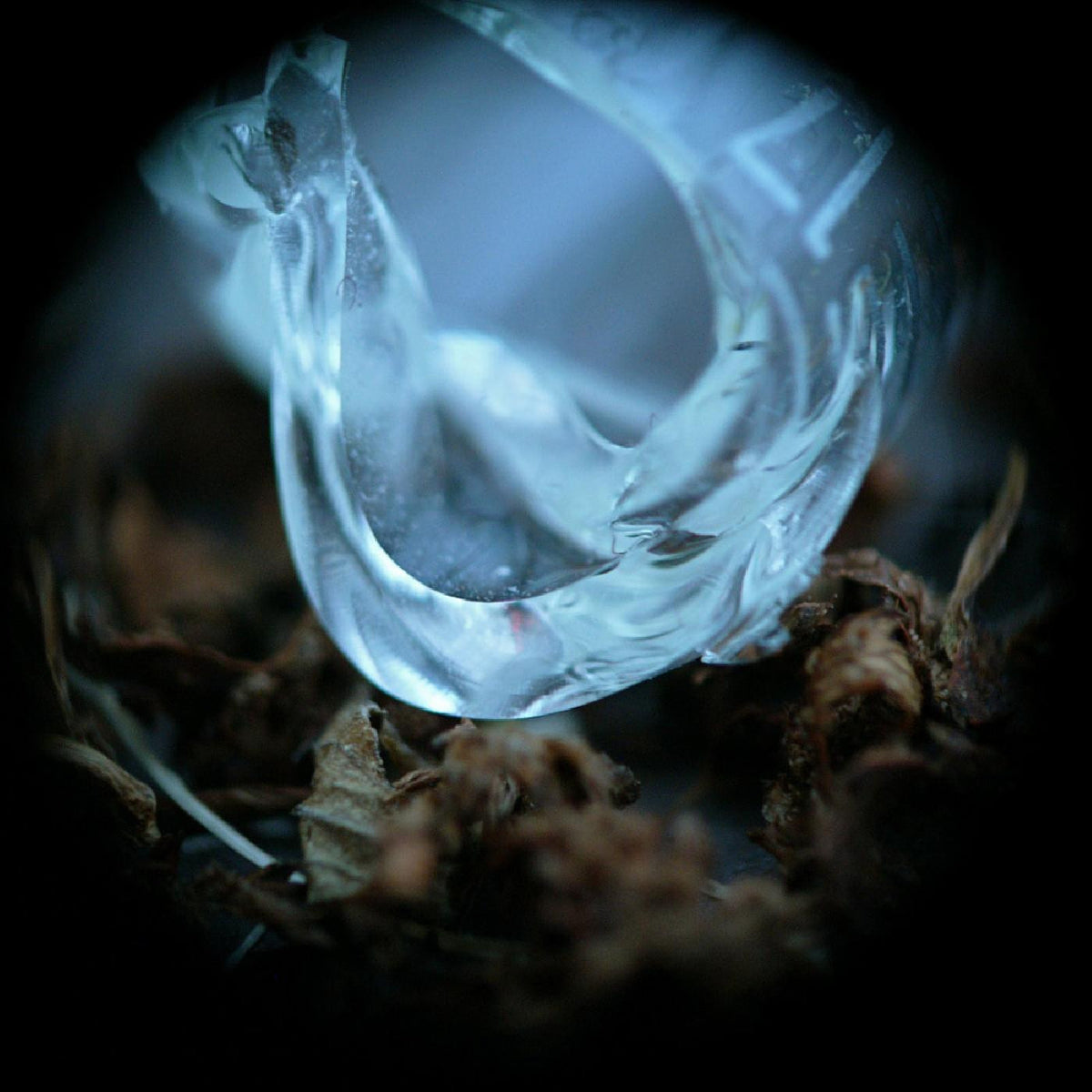 Ossicles - Mantelpiece [CD]
