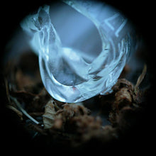 Ossicles - Mantelpiece [CD]