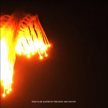 Orchards of a Futile Heaven [CD]