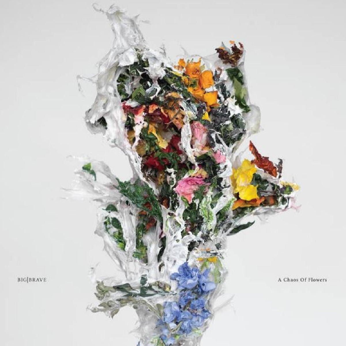 A Chaos of Flowers (INDIE EXCLUSIVE, CLEAR PINK VINYL) [Vinyl]