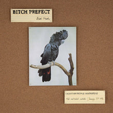Bird Nerds [CD]