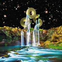 Vibration Animal Sex Brain Mus ic [Vinyl]