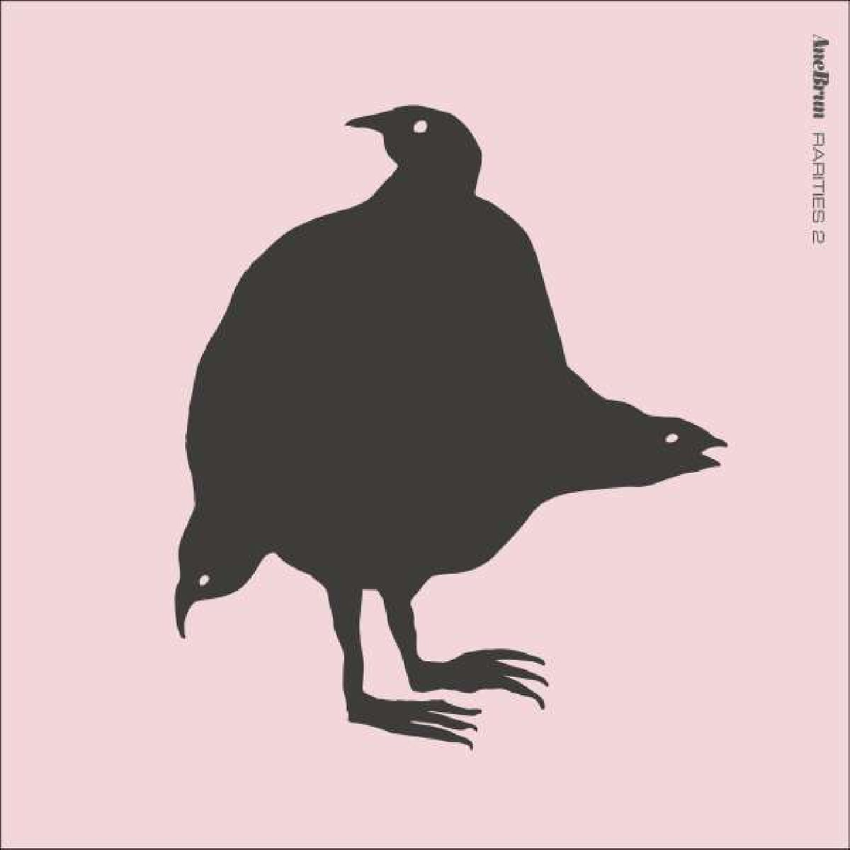 Ane Brun - Rarities 2 [Vinyl]