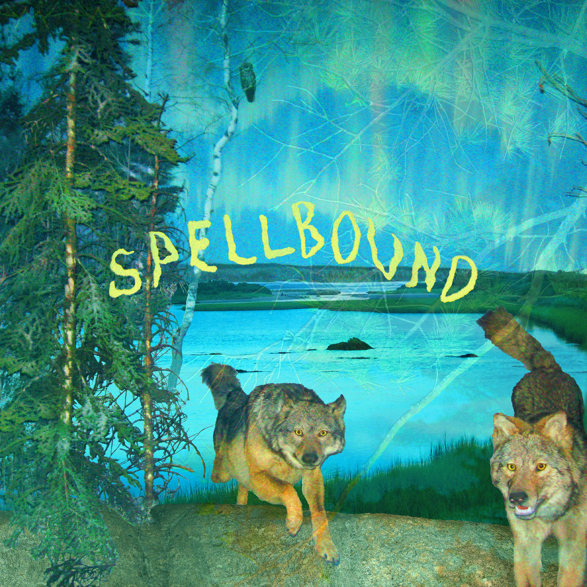 Boyscott - Spellbound [CD]