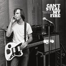 Can't Steal My Fire: The Songs of David Olney [CD]