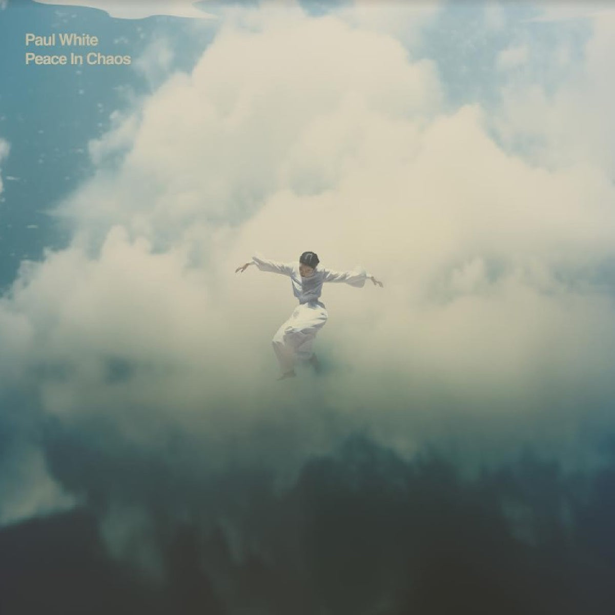 Paul White - Peace In Chaos [Vinyl]