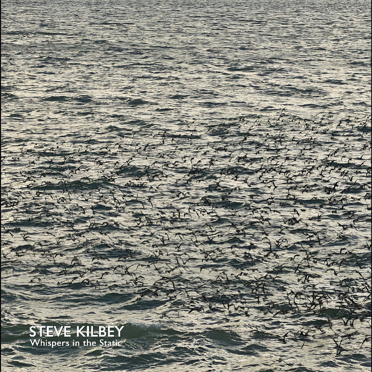Steve Kilbey - Whispers In The Static [CD]