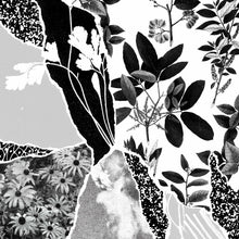 Mon herbier du monde entier [Vinyl]