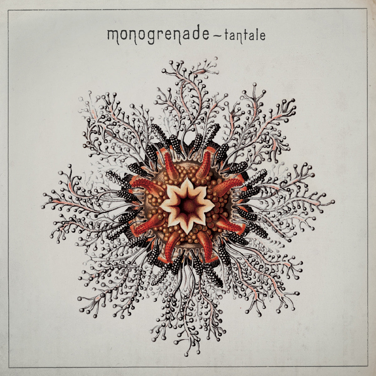 Tantale [CD]