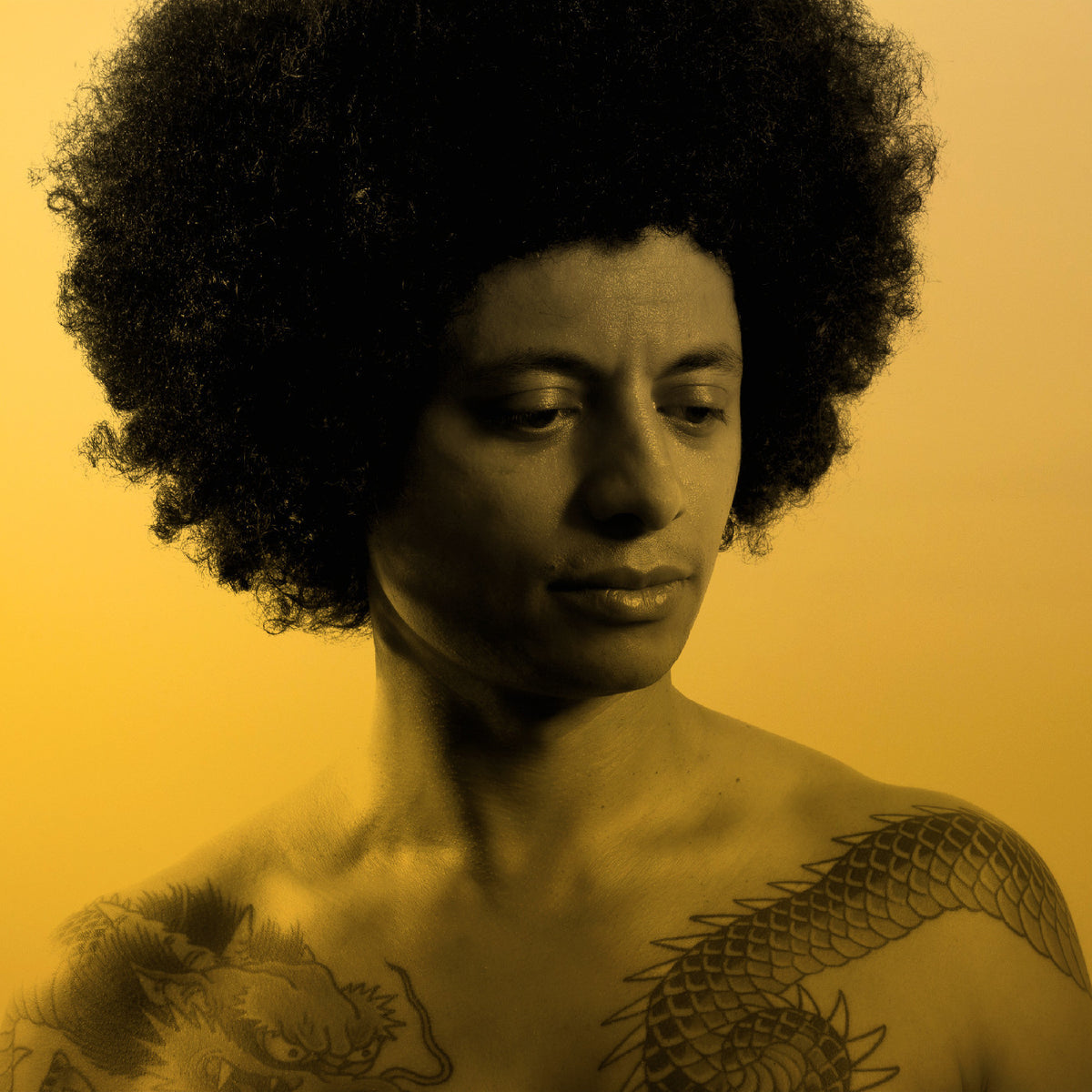 José James - No Beginning No End 2 [CD]