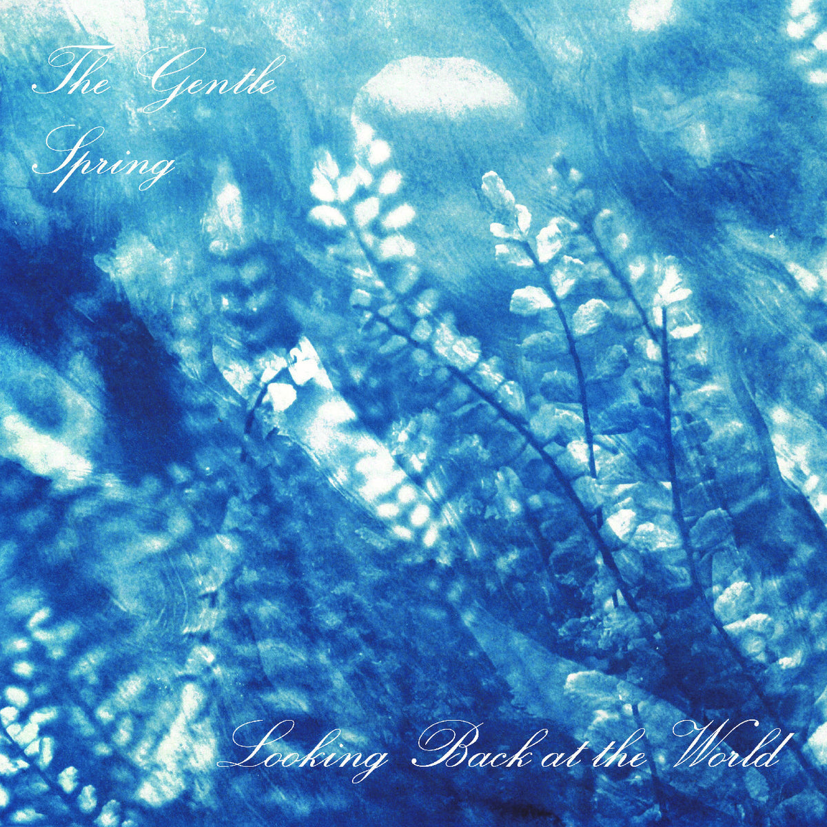 Gentle Spring, The - Looking Back At The World (INDIE EXCLUSIVE) [CD]
