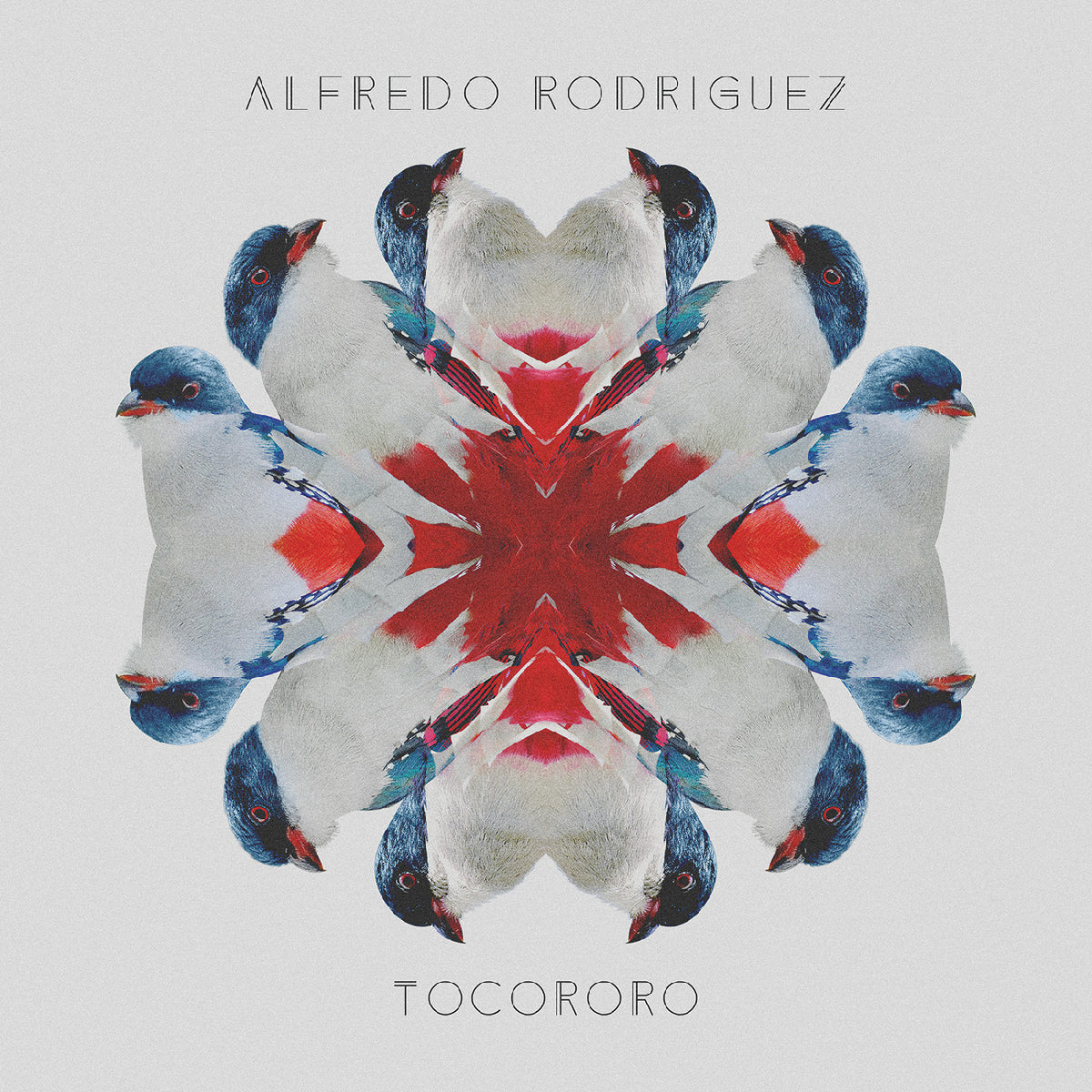 Alfredo Rodriguez - Tocororo [CD]