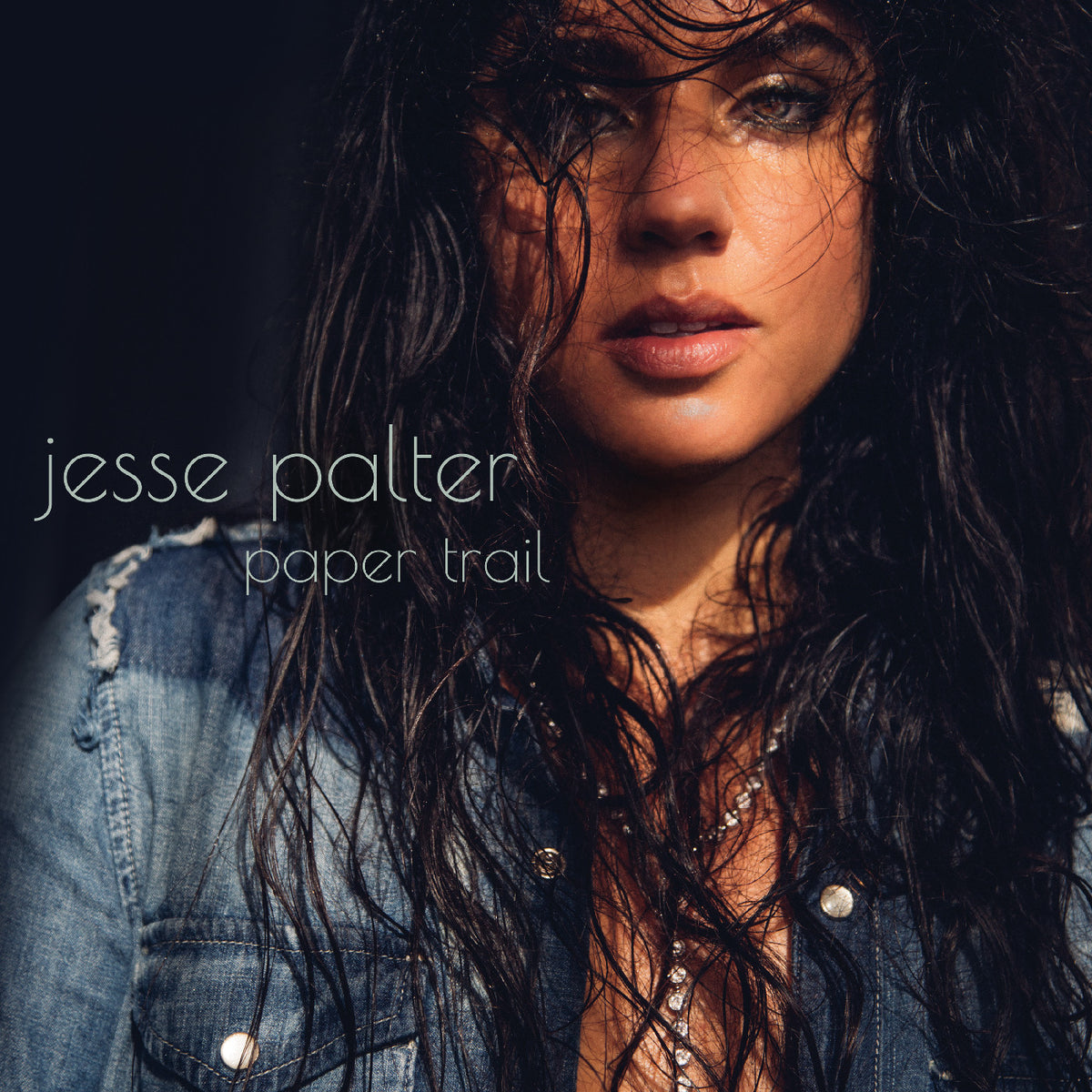 Jesse Palter - Paper Trail [CD]